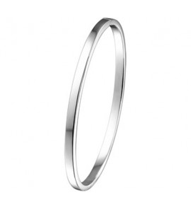 Goud wit Fjory slavenband VK 3x61 mm - 3104072