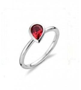 Fling ring nr. 304-49 - 3103703