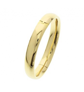 Goud geel bangle schanier hol 12 mm 62x50 mm - 3100892