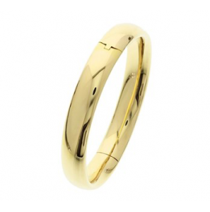 Goud geel bangle schanier hol 12 mm 62x50 mm - 3100892