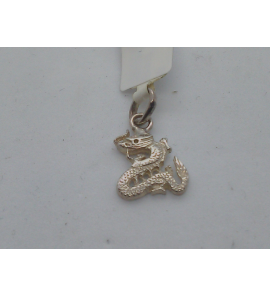 Zilver hanger/bedel Slang - 26961