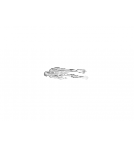 Zilver hanger/bedel Duiker - 27084