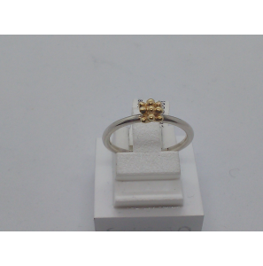 Spining dames ring silver cactus 862 S - 3062233