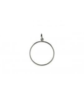 Zilver muntrand 25.0x1.8 mm mm halfrond 1 gulden - 2256