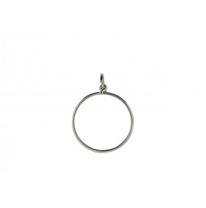 Zilver muntrand 25.0x1.8 mm mm halfrond 1 gulden - 2256