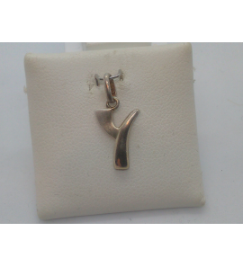 Zilver letterhanger mat/glans Y - 1000350