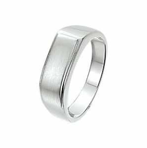 Zilver Jonges ring glans/mat 17 - 3009870