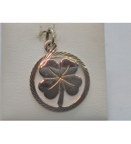 Zilver hanger klavervier in rand 19 mm. - 3013535