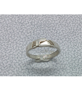 Zilver teenring voetjes - 3013414