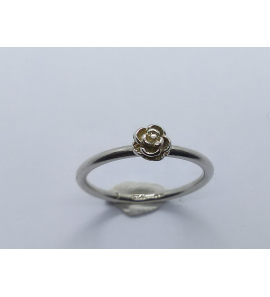 Zilver Spinning aanschuif ring roosje mt. 18 - 3019898