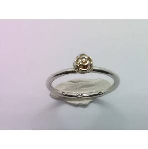Zilver Spinning aanschuif ring roosje mt. 17¼ - 3019897