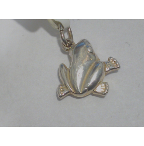 Zilver bedel Kikker - 3068600