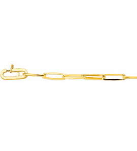 Goud closd-for-ever z.t.o. 4.5 mm 19.5 cm - 3084801