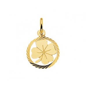 Goud hanger/bedel klavervier in rand 13 mm - 3083422