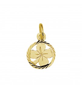 Goud hanger/bedel klavervier in rand 15 mm - 3083423