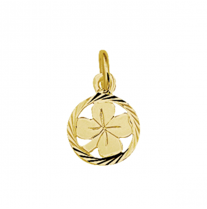 Goud hanger/bedel klavervier in rand 15 mm - 3083423