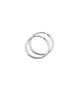 Zilver creolen gerodineerd 17x1,4 mm - 2082636