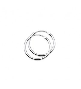 Zilver creolen gerodineerd 20x1,7 mm - 2082637