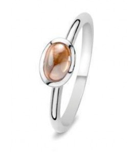 Fling ring nr. 35-313-57 - 3093714