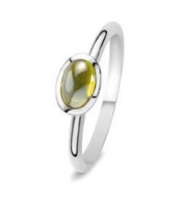 Fling ring nr. 36-313-53 - 3093718
