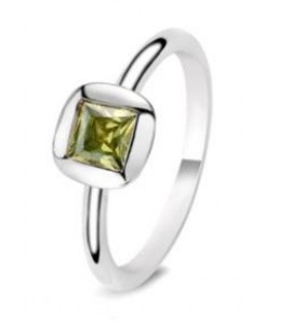 Fling ring nr. 20-301-49 - 3093620