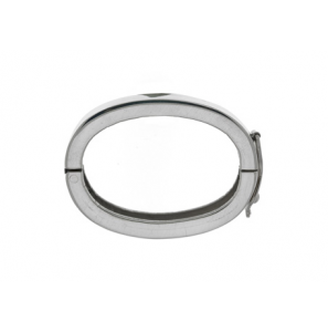 Zilver twister 35x25 mm - 3103837