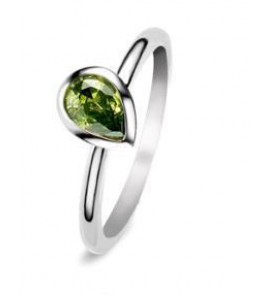 Fling ring nr. 32-304-53 - 3093694