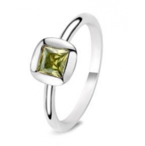 Fling ring nr. 20-301-53 - 3093622