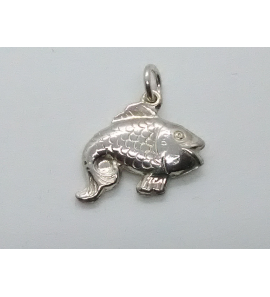 Zilver bedel Vis - 3100507