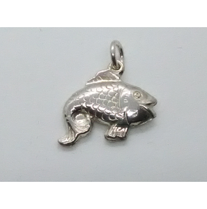 Zilver bedel Vis - 3100507