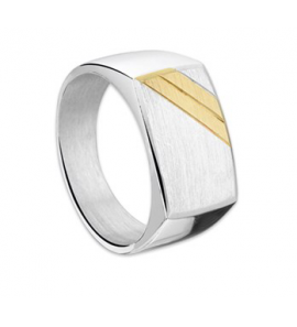 Ziver heren ring cachet met 2 streep geel goud mt 20½ - 3112445