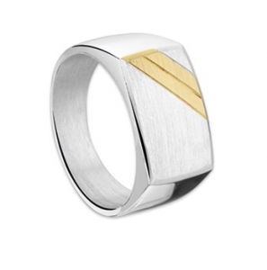 Ziver heren ring cachet met 2 streep geel goud mt 20½ - 3112445