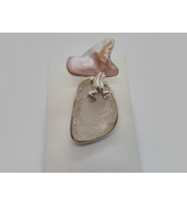 Zilver hanger met kikker met mop en rozeq. - 3113022