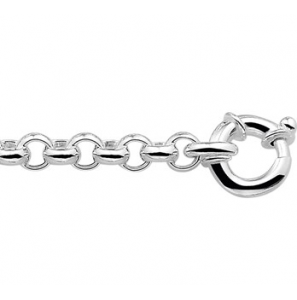 Zilver RH armband jasseron 7 mm 20 cm draaglengte 19cm - 3113418