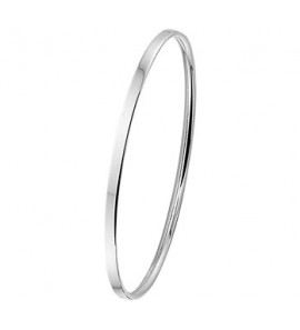 Zilver slavenband dop 3 mm vlak 60 mm - 3114572