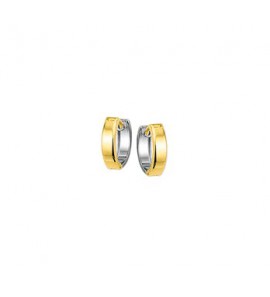 Goud klap-creool glans bicolour 13x3 mm - 3120934
