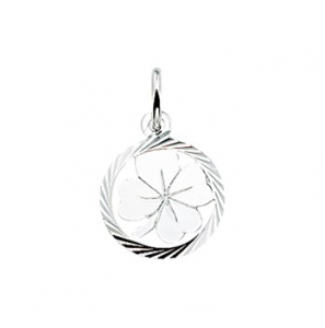 Zilver klavertje in rand 12 mm - 3124048