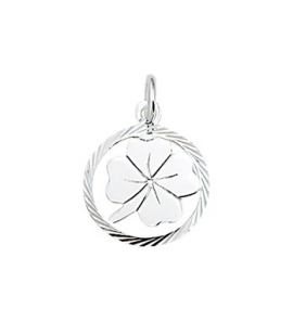 Zilver klavertje in rand 15 mm - 3124050