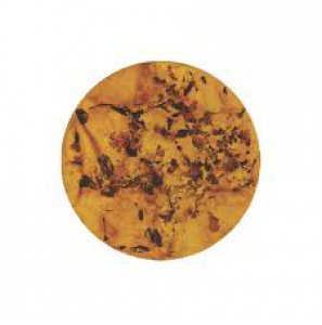 MY iMenso "amber in resin" 33 mm shell insignia - 3130541
