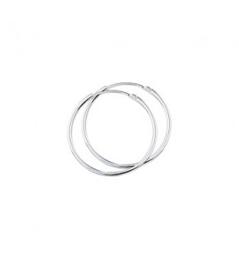 Zilver creolen 20mm 1.5mm - 3130659
