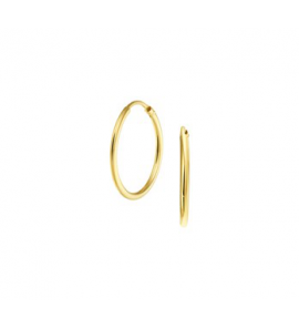 Goud buis-creool 1.5 mm 20 mm - 3130665