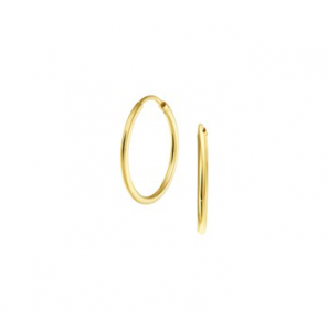 Goud buis-creool 1.5 mm 20 mm - 3130665