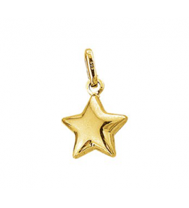 Gouden hanger Ster. - 3131005