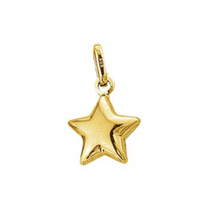 Gouden hanger Ster. - 3131005