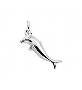 Zilver hanger/bedel dolfijn - 3141947