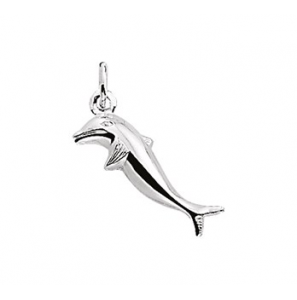 Zilver hanger/bedel dolfijn - 3141947