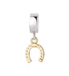 JdIL slide lucky horseshoe GP - 3142426