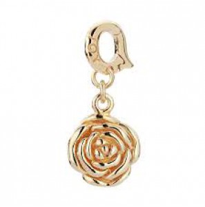 JdIL Charming rose GP - 3142438