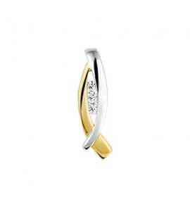 Gouden bicolour hanger met zirconia. - 3142744