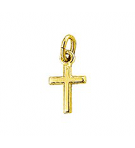 Goud hanger kruis hol 10.5x6 mm - 3150979